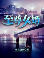 鉴宝神婿