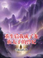 重生后我成了龙族太子的兽妃