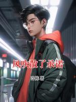 风吹散了承诺