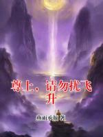 尊上，请勿扰飞升
