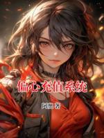 偏心充值系统