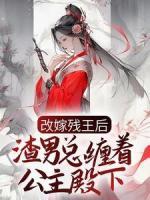 改嫁残王后，渣男总缠着公主殿下
