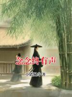 念念终有声