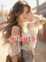 瓶中向日葵