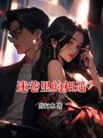 迷巷里的相遇
