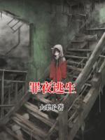 罪夜逃生