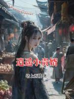 逍遥小贵婿
