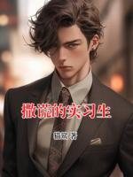 撒谎的实习生
