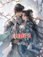 白府疑云