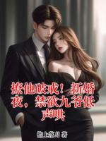 撩他破戒！新婚夜，禁欲九爷低声哄