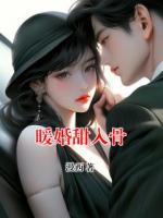 暖婚甜入骨