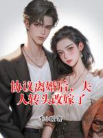 协议离婚后，夫人转头改嫁了