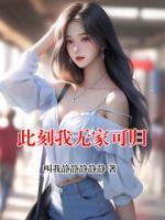 此刻我无家可归