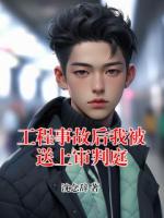 工程事故后我被送上审判庭