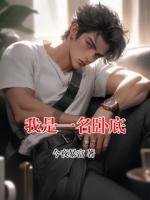 我是一名卧底
