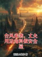 台风来袭，丈夫用边角料做安全屋