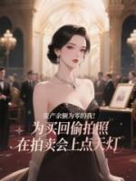 资产余额为零的我为买回偷拍照，在拍卖会上点天灯