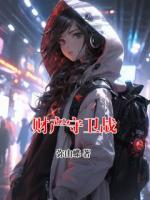 财产守卫战