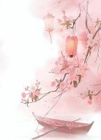 赵芷音陆玄川