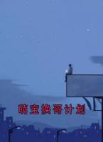 萌宝换哥计划