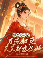 穿恶毒女配:反派权臣天天都在捉奸