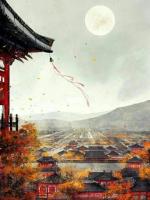 宋栖月傅沉言