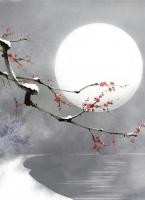 宋悦宁江慕舟