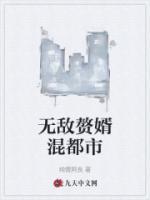 无敌赘婿混都市