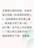 重生八零：我靠摆摊成了万元户