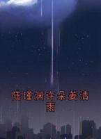 陆瑾渊许朵姜清雨