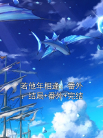 若他年相逢：番外：结局+番外+完结