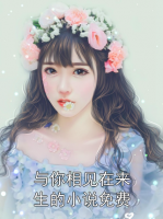与你相见在来生的小说免费