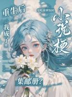 重生后，我成了小说梗集邮册？