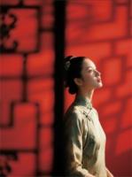 侯门簿记：嫡母的算盘