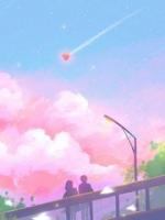重生后，我成了倒插门兄弟的岳父