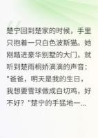 流浪街头的千金小姐