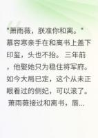 侧妃和离后，皇子跪求三年