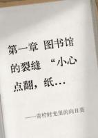 青柠时光里的向日葵