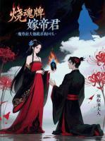 烧魂牌嫁帝君，魔尊前夫他跪求我回头