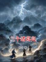 三个诸葛亮