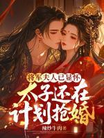 将军夫人已显怀，太子还在计划抢婚