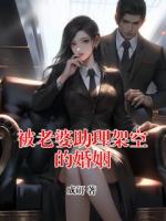 被老婆助理架空的婚姻