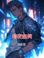 暗夜窥伺