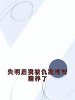 失明后我被仇敌哥哥圈养了