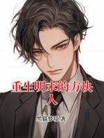重生明末的方块人