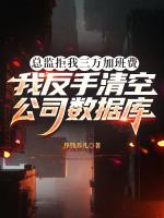 总监拒我三万加班费，我反手清空公司数据库