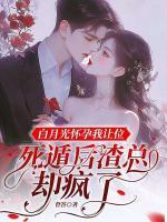 白月光怀孕我让位，死遁后渣总却疯了