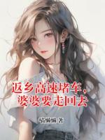 返乡高速堵车，婆婆要走回去