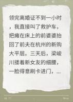 离婚一小时，我把瘫痪婆婆抬回前夫家