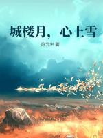 城楼月，心上雪